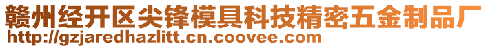 贛州經(jīng)開區(qū)尖鋒模具科技精密五金制品廠