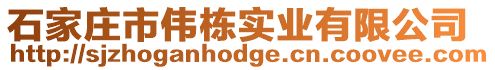 石家莊市偉棟實業有限公司