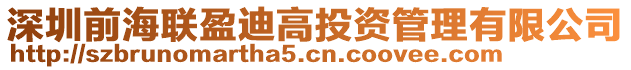 深圳前海聯盈迪高投資管理有限公司