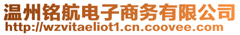 溫州銘航電子商務有限公司