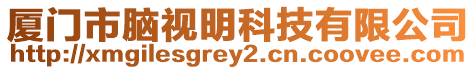 廈門市腦視明科技有限公司