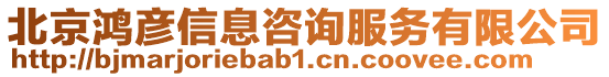 北京鴻彥信息咨詢服務有限公司