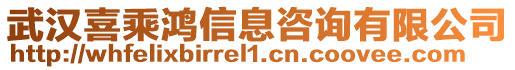 武漢喜乘鴻信息咨詢有限公司