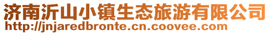 濟南沂山小鎮生態旅游有限公司