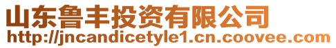 山東魯豐投資有限公司