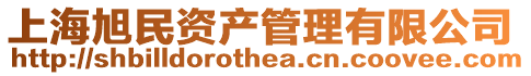 上海旭民資產管理有限公司