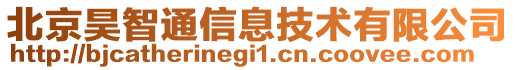 北京昊智通信息技術(shù)有限公司