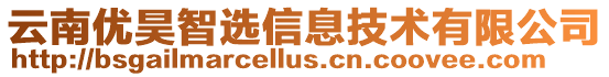 云南優昊智選信息技術有限公司