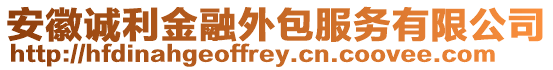安徽誠(chéng)利金融外包服務(wù)有限公司