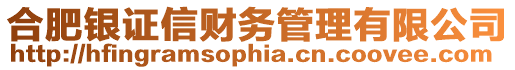 合肥銀證信財務管理有限公司