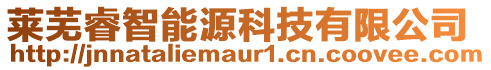 萊蕪睿智能源科技有限公司