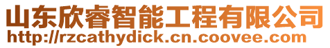 山東欣睿智能工程有限公司