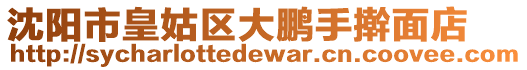 沈陽市皇姑區大鵬手搟面店
