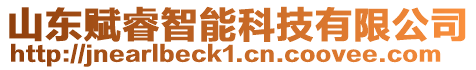 山東賦睿智能科技有限公司