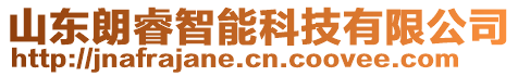 山東朗睿智能科技有限公司