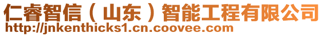 仁睿智信(山東)智能工程有限公司