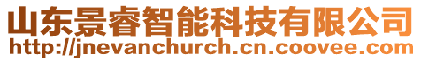 山東景睿智能科技有限公司
