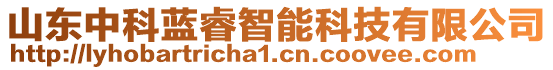 山東中科藍睿智能科技有限公司
