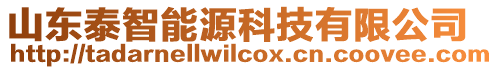山東泰智能源科技有限公司