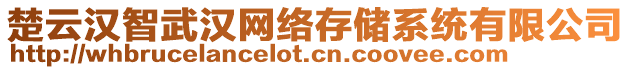 楚云漢智武漢網(wǎng)絡(luò)存儲系統(tǒng)有限公司