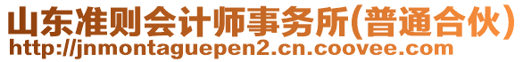 山東準(zhǔn)則會計(jì)師事務(wù)所(普通合伙)