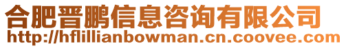 合肥晉鵬信息咨詢有限公司