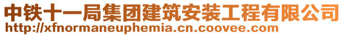 中鐵十一局集團(tuán)建筑安裝工程有限公司