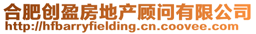 合肥創(chuàng)盈房地產(chǎn)顧問(wèn)有限公司