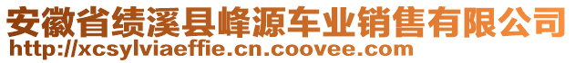 安徽省绩溪县峰源车业销售有限公司