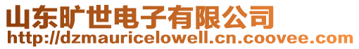 山東曠世電子有限公司