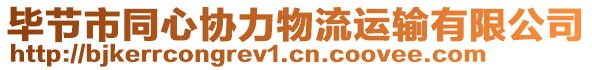 畢節(jié)市同心協(xié)力物流運(yùn)輸有限公司