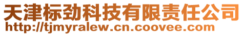 天津標勁科技有限責任公司