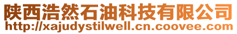 陜西浩然石油科技有限公司