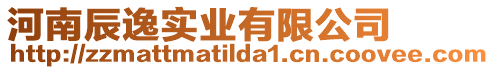 河南辰逸實業(yè)有限公司