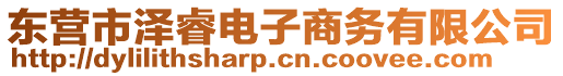東營市澤睿電子商務有限公司