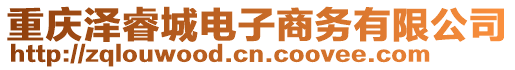 重慶澤睿城電子商務有限公司