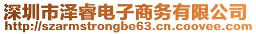 深圳市澤睿電子商務(wù)有限公司