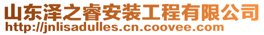 山東澤之睿安裝工程有限公司