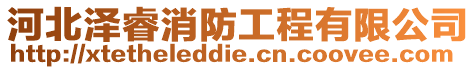 河北澤睿消防工程有限公司