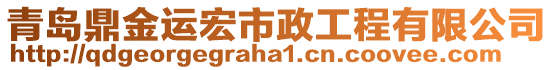 青島鼎金運宏市政工程有限公司