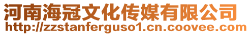 河南海冠文化傳媒有限公司