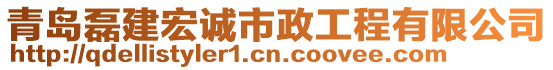 青島磊建宏誠(chéng)市政工程有限公司