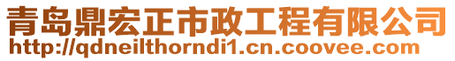 青島鼎宏正市政工程有限公司