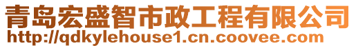 青島宏盛智市政工程有限公司