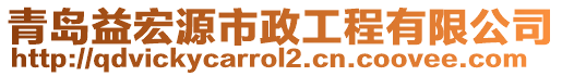 青島益宏源市政工程有限公司