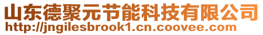 山東德聚元節(jié)能科技有限公司