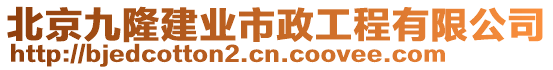 北京九隆建業(yè)市政工程有限公司