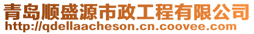 青島順盛源市政工程有限公司