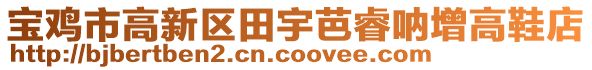 寶雞市高新區(qū)田宇芭睿吶增高鞋店