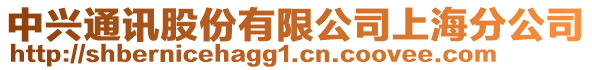 中興通訊股份有限公司上海分公司